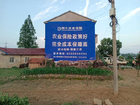 兴国墙体广告为何受追捧?